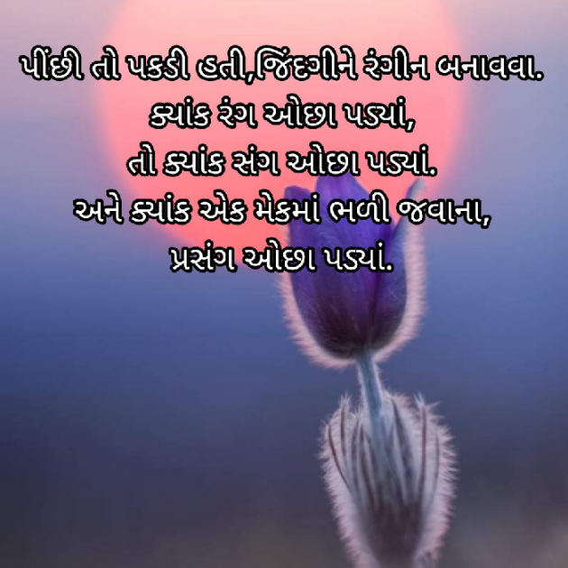 Gujarati Blog by Bhavna Bhatt : 111931078