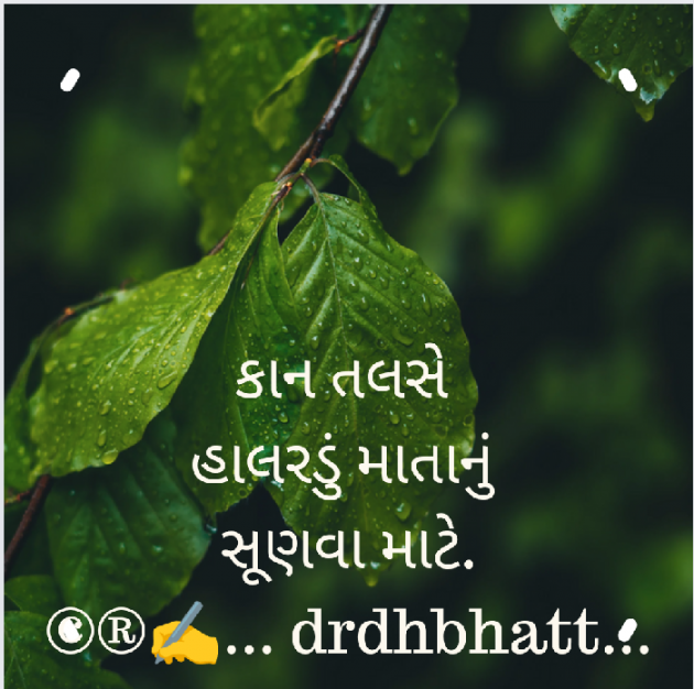 Gujarati Hiku by Dr. Damyanti H. Bhatt : 111931316