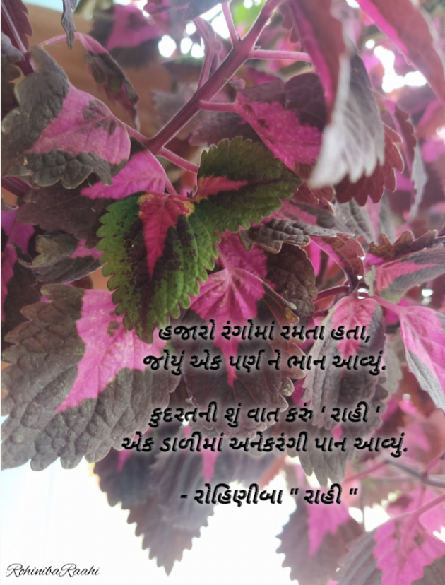 Gujarati Shayri by Rohiniba Raahi : 111931352