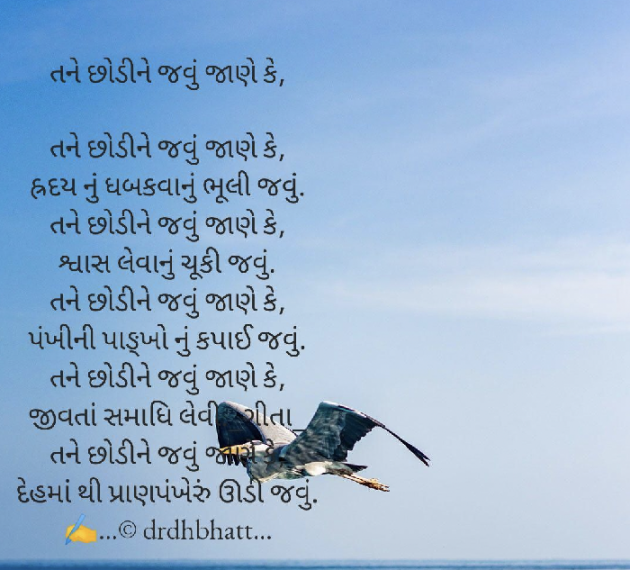 Gujarati Blog by Dr. Damyanti H. Bhatt : 111932208