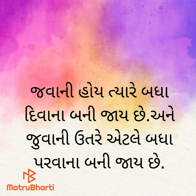 Gujarati Whatsapp-Status by Bhanuben Prajapati : 111932594