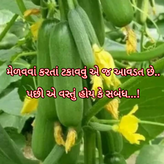 Gujarati Blog by Bhavna Bhatt : 111933369