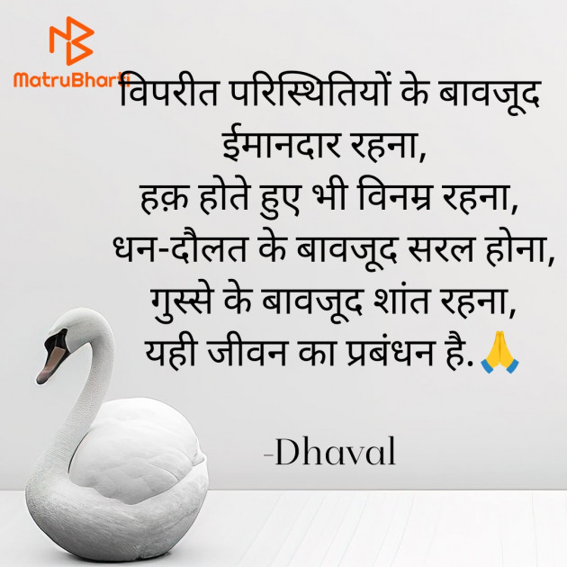 Hindi Blog by Dhaval : 111934564