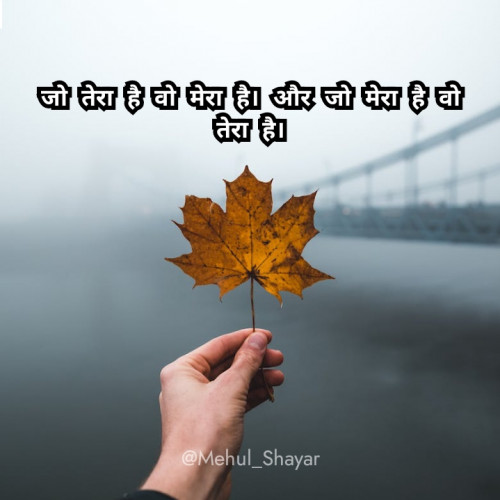 Post by Mehul Pasaya on 03-Jun-2024 06:05pm