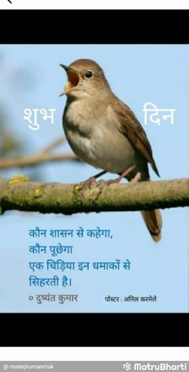 Hindi Shayri by Manoj kumar shukla : 111935096