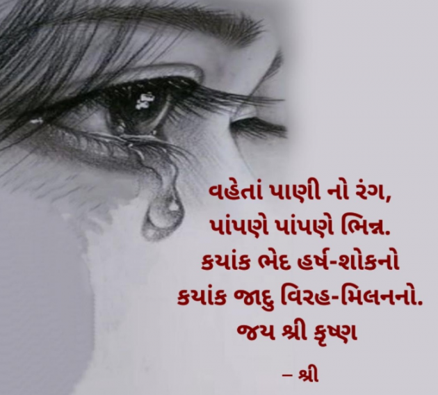 Gujarati Whatsapp-Status by Gor Dimpal Manish : 111935198