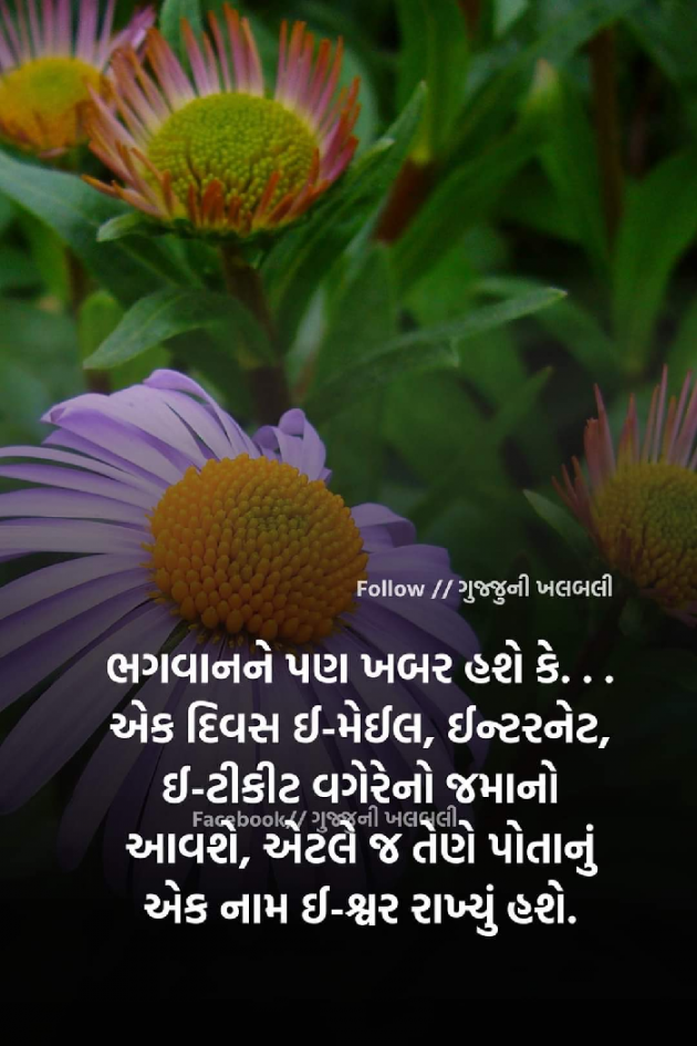 Gujarati Thought by Mona Ghelani : 111935700