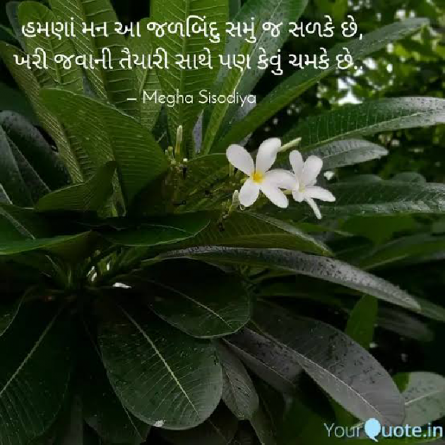 Gujarati Whatsapp-Status by Jayvirsinh Zala : 111936090