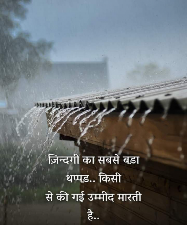 Gujarati Whatsapp-Status by Jayvirsinh Zala : 111936559