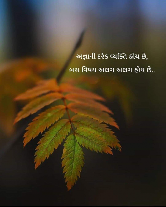 Gujarati Thought by Mona Ghelani : 111936991