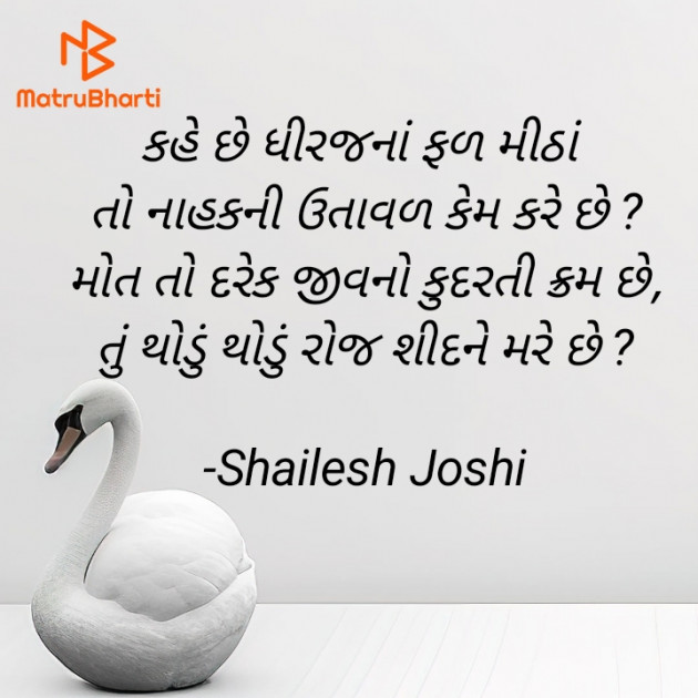 Gujarati Thought by Shailesh Joshi : 111937211