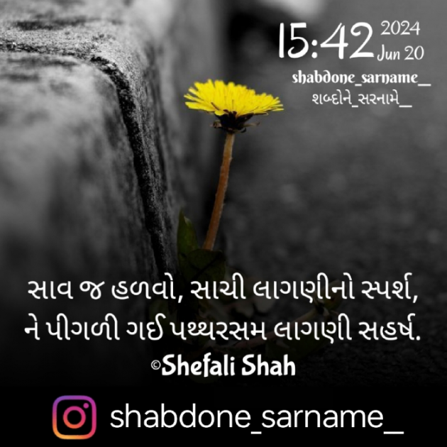 Gujarati Whatsapp-Status by Shefali : 111937519