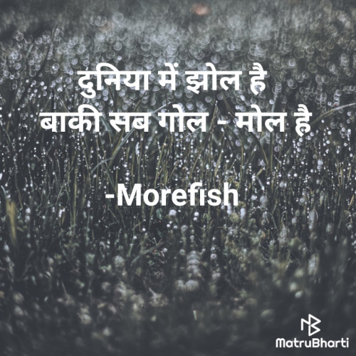 Post by Morefish on 21-Jun-2024 08:22pm