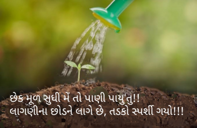 Gujarati Blog by Sejal Raval : 111938465