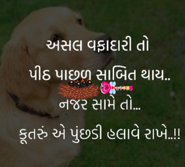 Gujarati Whatsapp-Status by Gautam Patel : 111938606