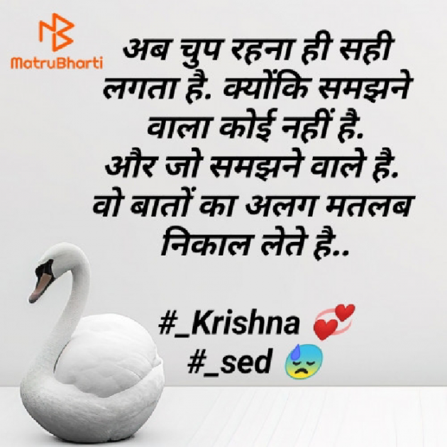 Hindi Blog by Krishna Rajput : 111938655
