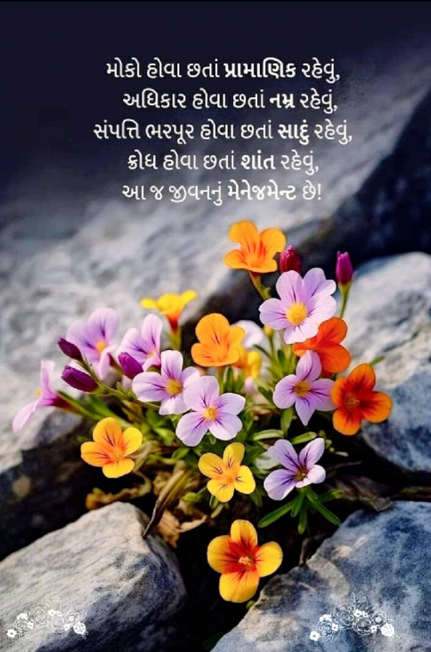 Gujarati Good Morning by Mona Ghelani : 111938693