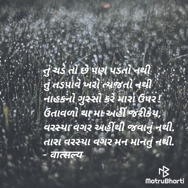 Gujarati Shayri by वात्सल्य : 111939190