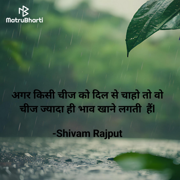 Hindi Quotes by Shivam Rajput : 111939241