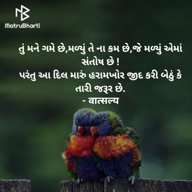 Gujarati Shayri by वात्सल्य : 111939335