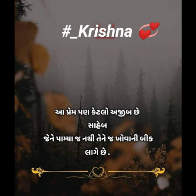 Gujarati Blog by Krishna Rajput : 111939750