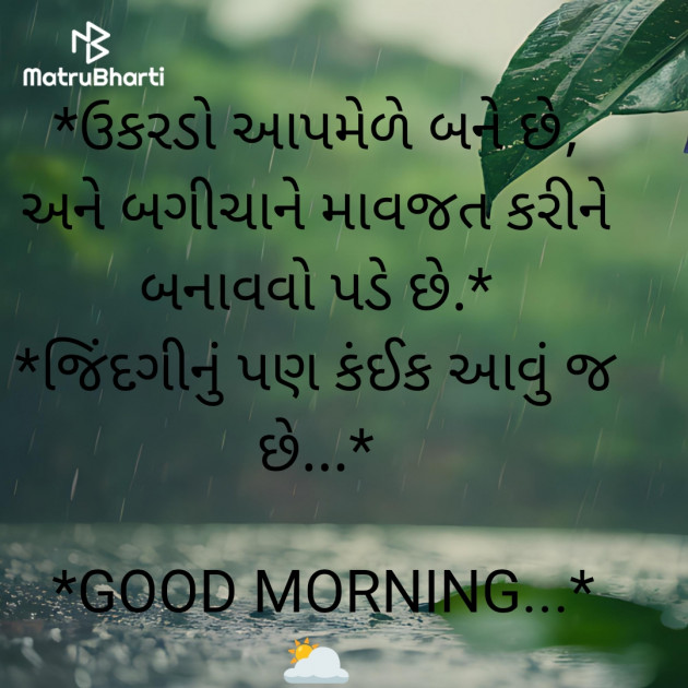 Gujarati Quotes by Nayana Viradiya : 111940242