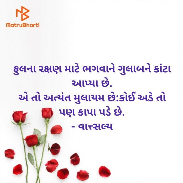 Gujarati Shayri by वात्सल्य : 111940581