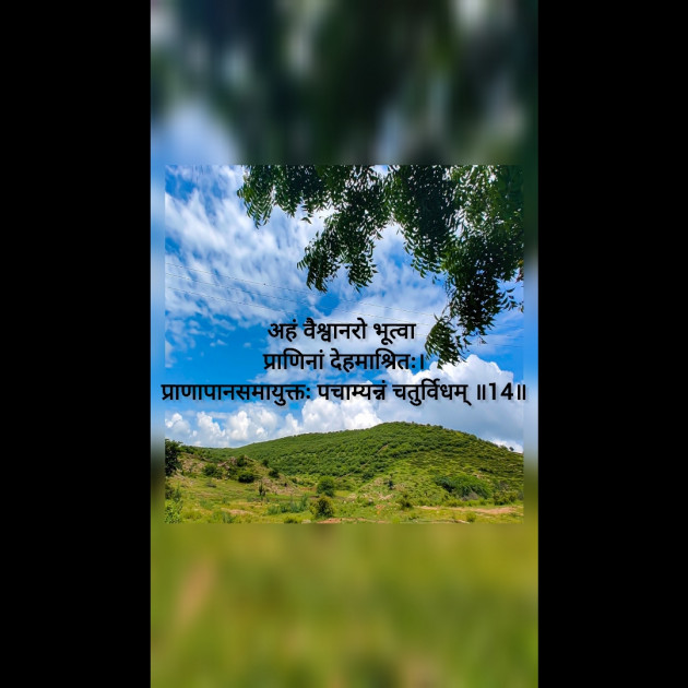 Gujarati Whatsapp-Status by JUST_GS : 111940711