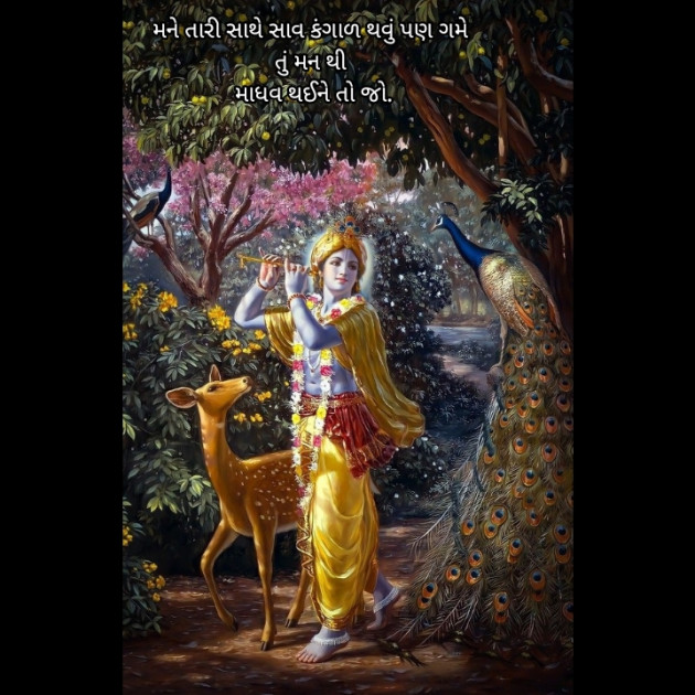 Gujarati Shayri by Mr Jay Gadhadara : 111940951