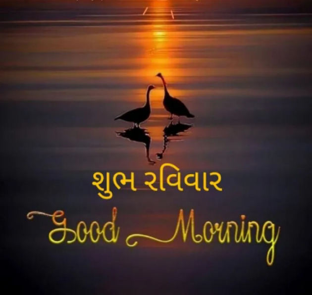 Gujarati Whatsapp-Status by Jayvirsinh Zala : 111941315