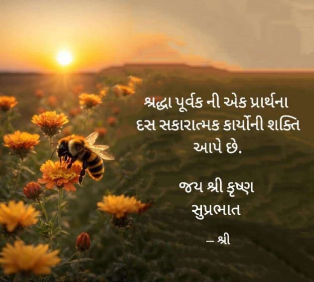 Gujarati Whatsapp-Status by Gor Dimpal Manish : 111941340