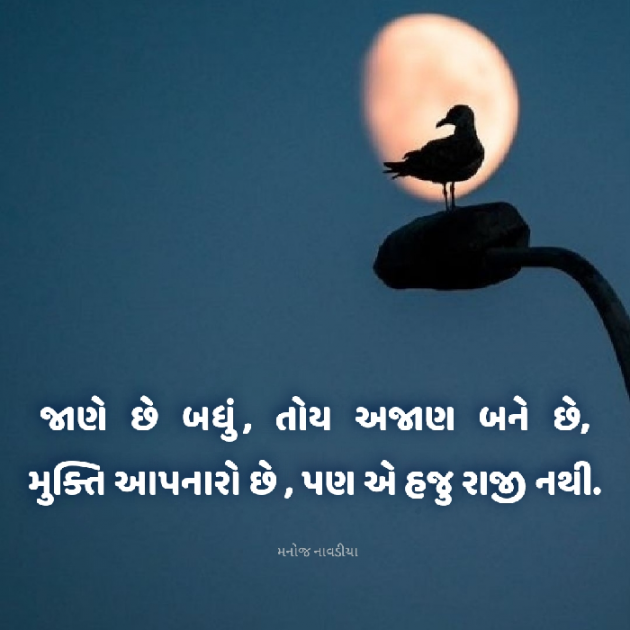 Gujarati Motivational by મનોજ નાવડીયા : 111941440