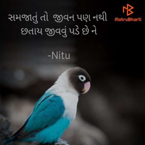 Post by Nitu on 16-Jul-2024 06:08pm