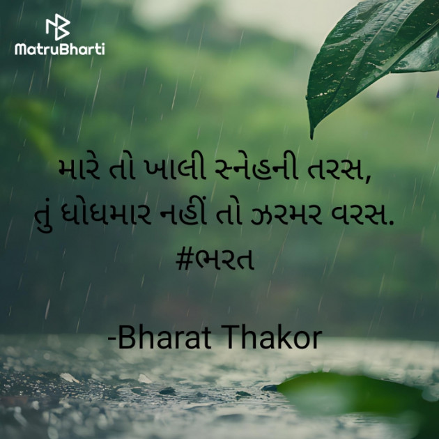 Gujarati Shayri by Bharat : 111941896