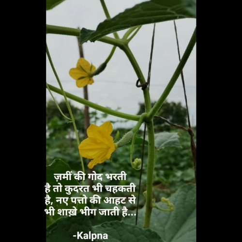 Post by Kalpna on 23-Jul-2024 11:18am