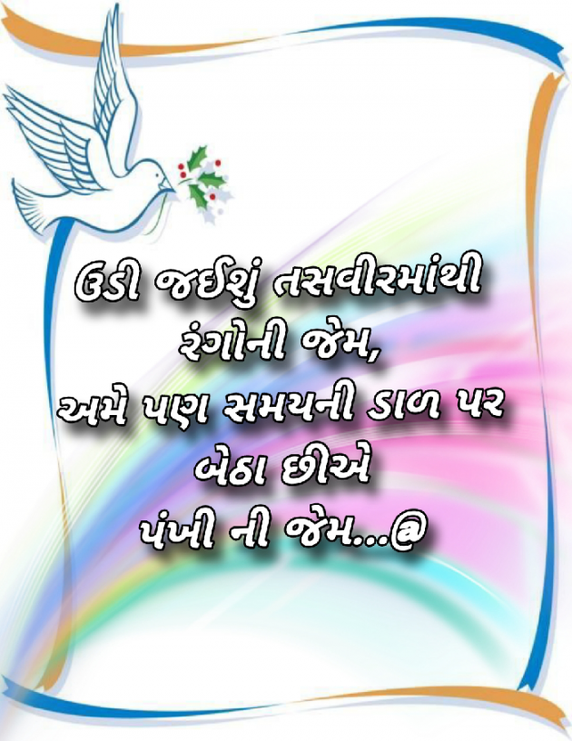 Gujarati Shayri by Abbas khan : 111943038