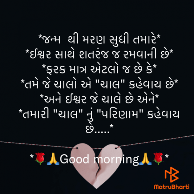 Gujarati Whatsapp-Status by shah : 111943052