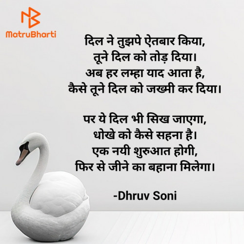 Post by Dhruv Soni on 25-Jul-2024 08:50am