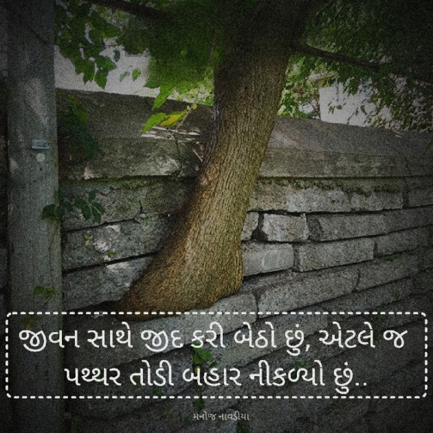 Gujarati Motivational by મનોજ નાવડીયા : 111943338