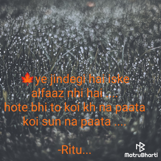 Hindi Shayri by Ritu... : 111943665