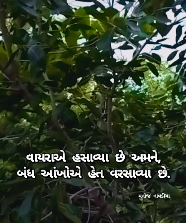 Gujarati Motivational by મનોજ નાવડીયા : 111943720