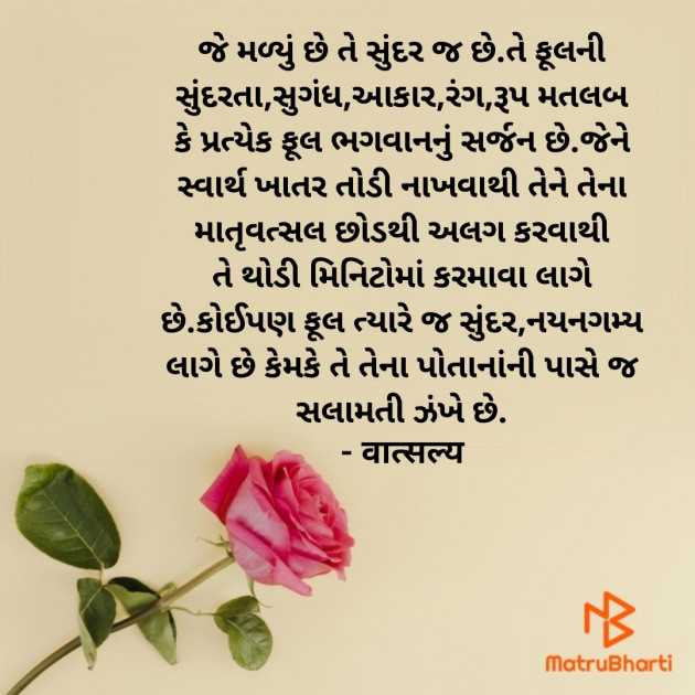 Gujarati Quotes by वात्सल्य : 111944010