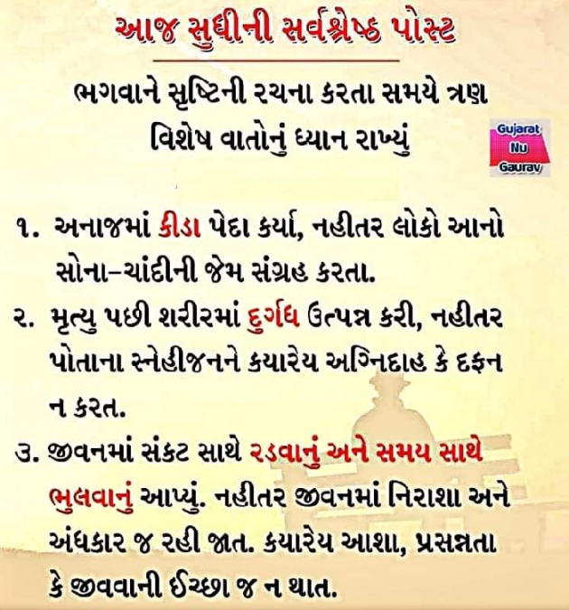 Gujarati Thought by Mona Ghelani : 111944359