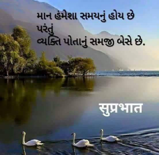 Gujarati Whatsapp-Status by Jayvirsinh Zala : 111944483