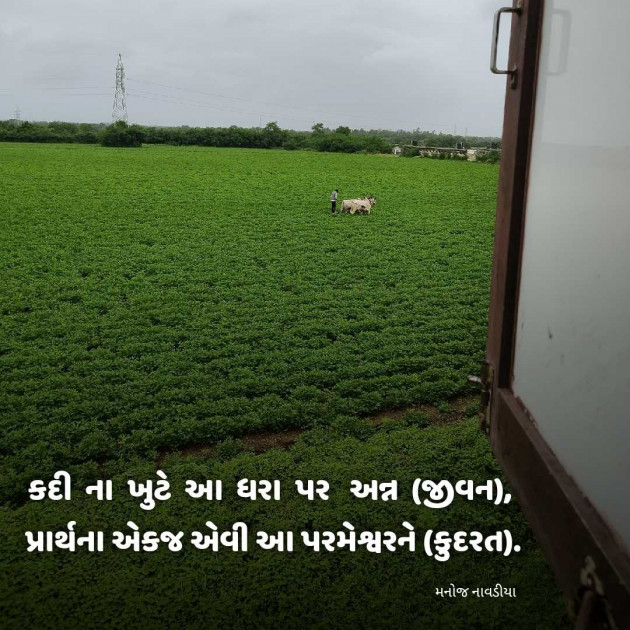 Gujarati Motivational by મનોજ નાવડીયા : 111944764