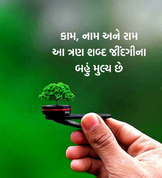 Gujarati Blog by Krishna Rajput : 111945040