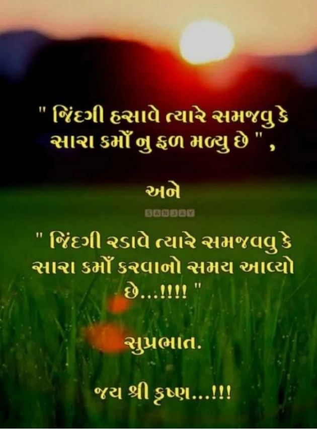 Gujarati Whatsapp-Status by jighnasa solanki : 111945234