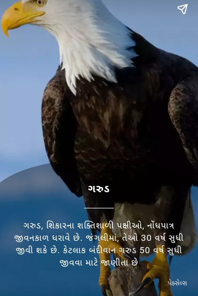 Gujarati News by Mbhh : 111945652