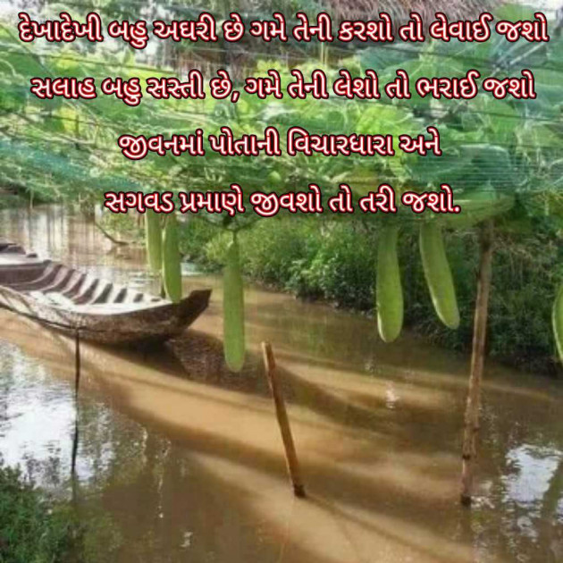 Gujarati Blog by Bhavna Bhatt : 111945878