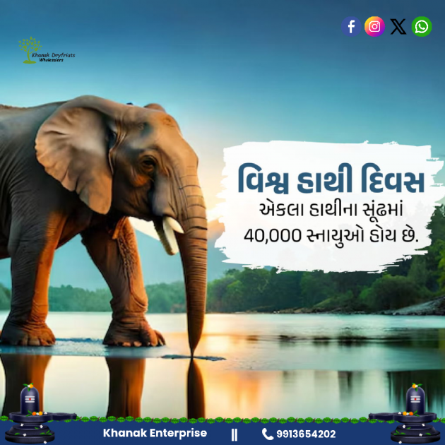 Gujarati Blog by Umesh Donga : 111945942